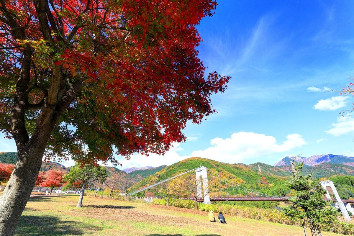Công viên tỉnh lập Hadano Togawa (Kanagawa)
