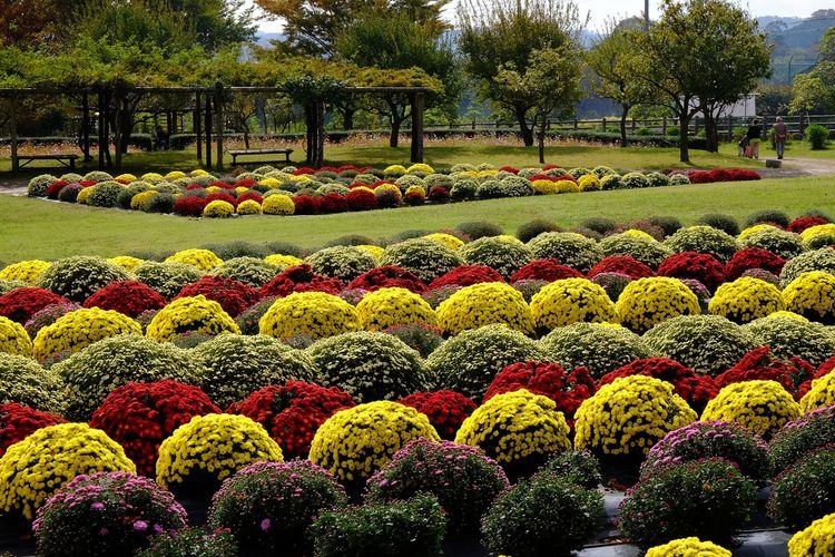 Parc de Hadano Togawa (Kanagawa)