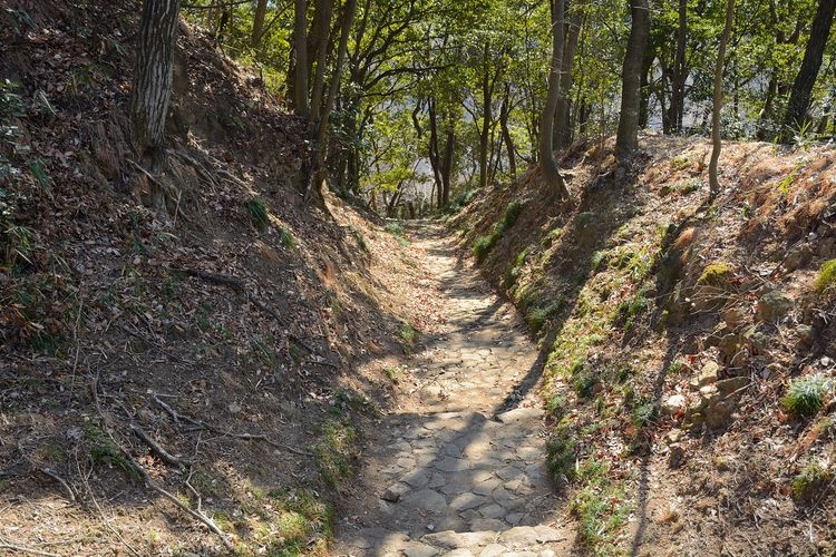 Kanayama Castle Ruins 2