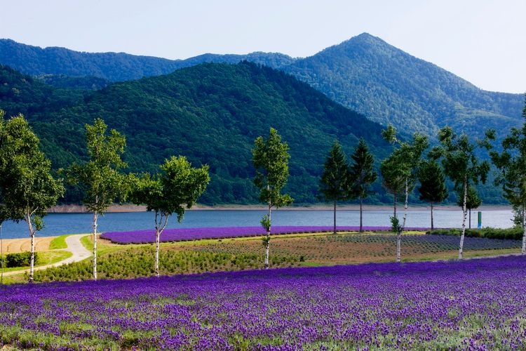 Lake Kanayama 2