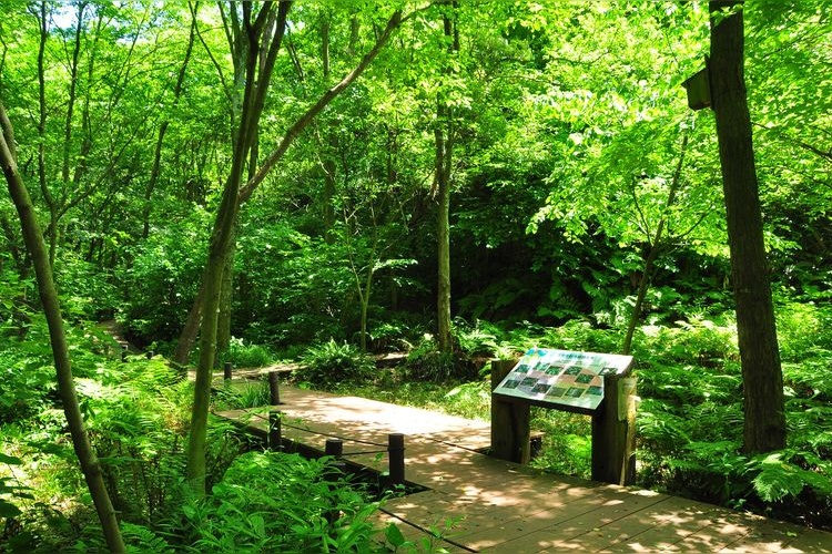 Kanazawa Nature Park (Kanazawa Zoo) 2