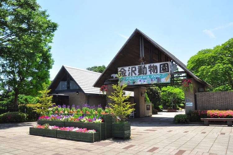 Kanazawa Nature Park (Kanazawa Zoo) 4