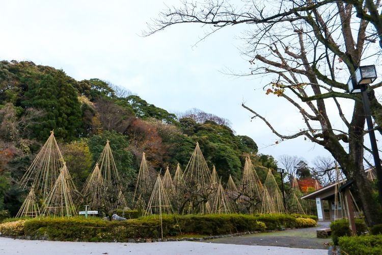 金沢市立中村記念美術館