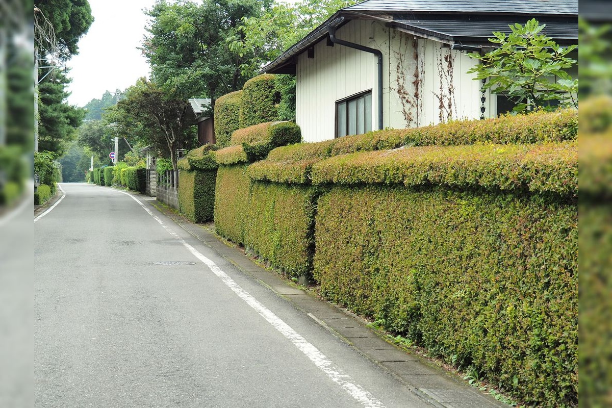 Kanegasaki-cho Jonai Suwakoji Important Preservation District for Groups of Traditional Buildings