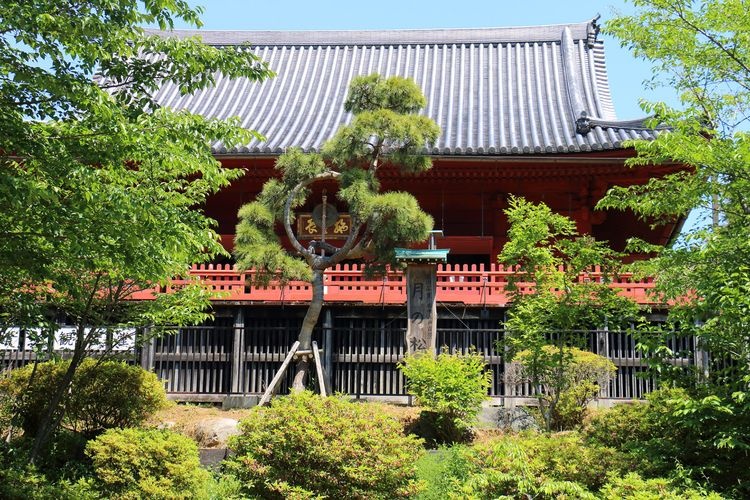 Kan'ei-ji Temple