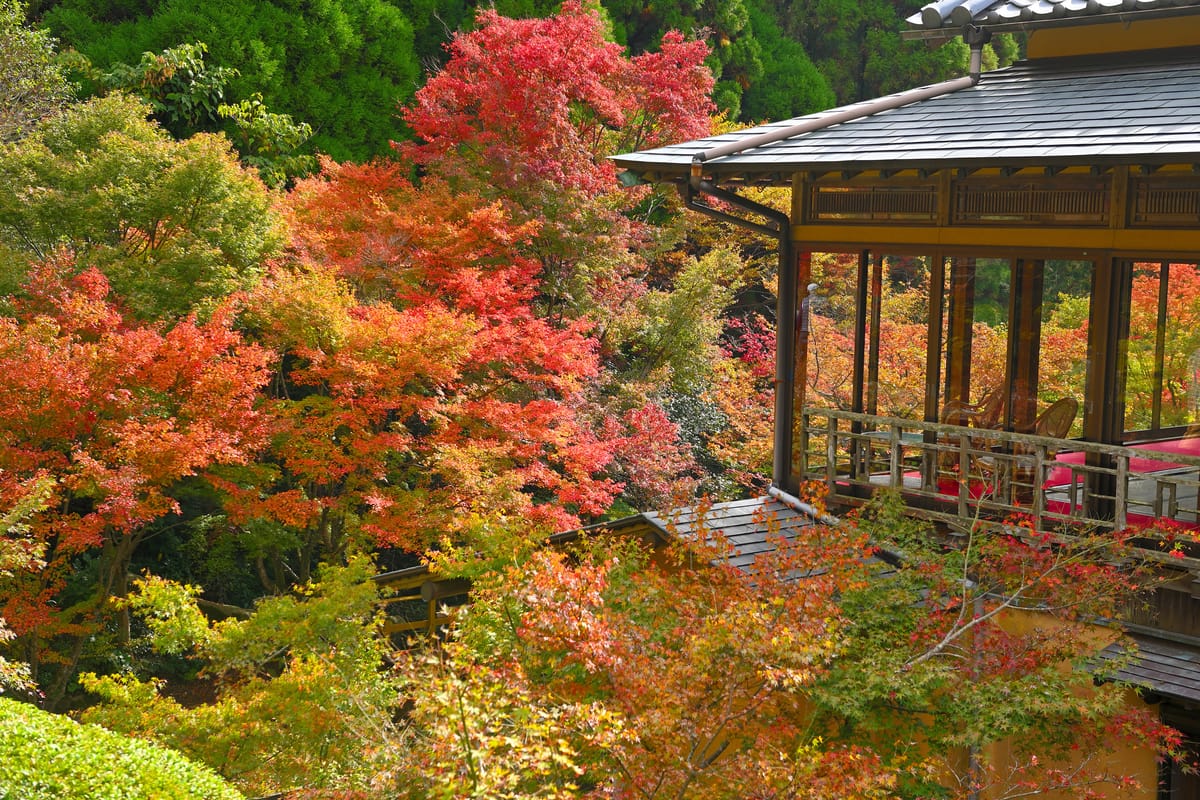 Kankyo Geijutsu no Mori (Forest of Environmental Art)