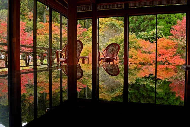 Kankyo Geijutsu no Mori (Forest of Environmental Art) 2
