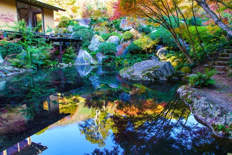 Kankyo Geijutsu no Mori (Forest of Environmental Art) 3
