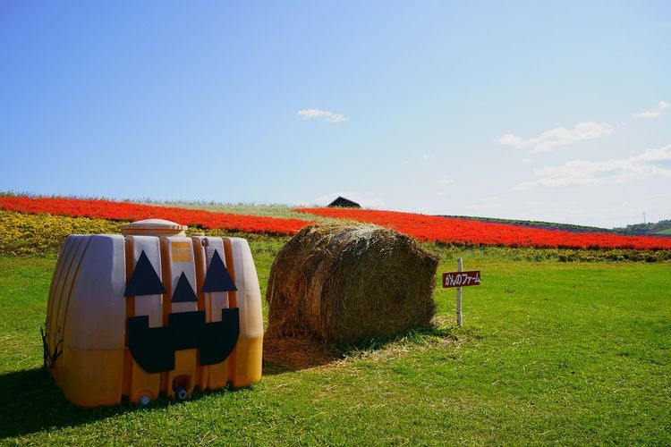 Kanno Farm