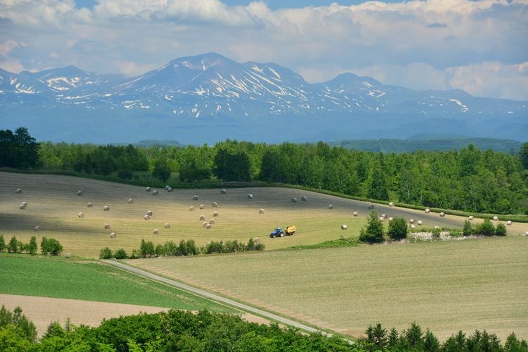 Kanno Farm 2