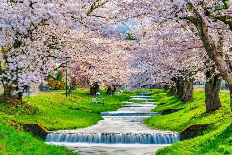 観音寺川