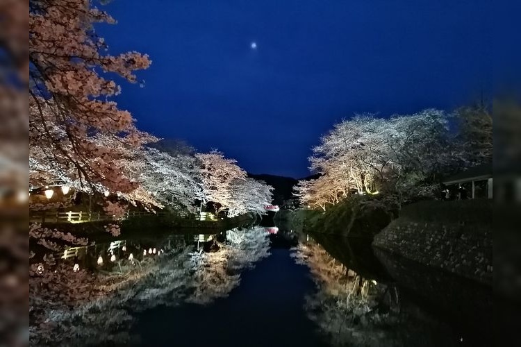鹿野城跡公園