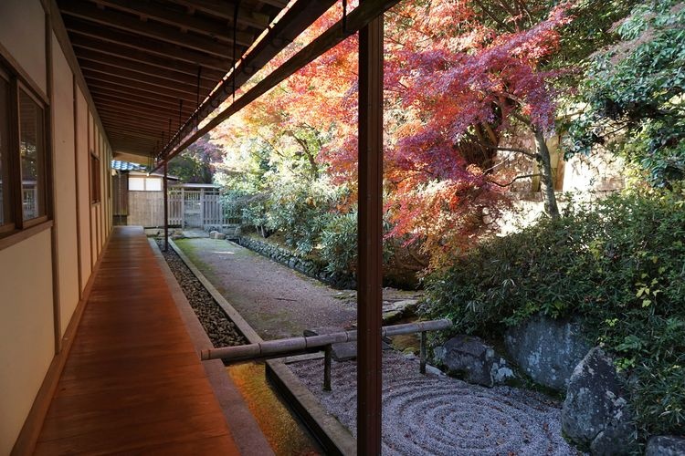 Kanyo-ji Temple 2