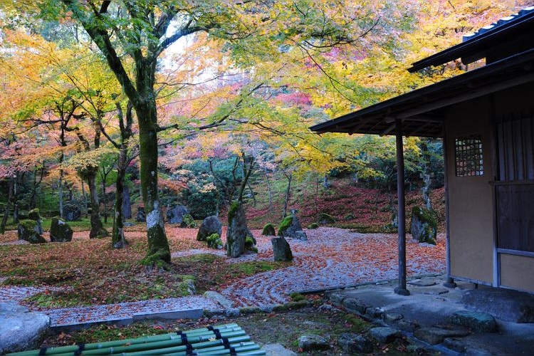 Kanzeon-ji 3