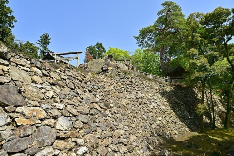 Karasawayama Jinja (Karasawayama Castle) 3