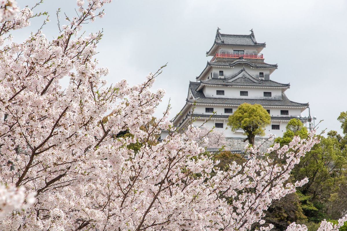 카라츠 성 (Karatsu Castle)