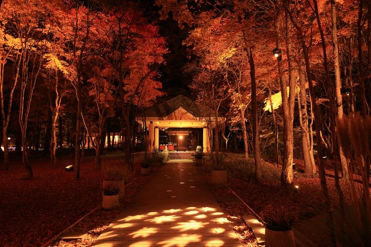 Karuizawa Kogen Church 2