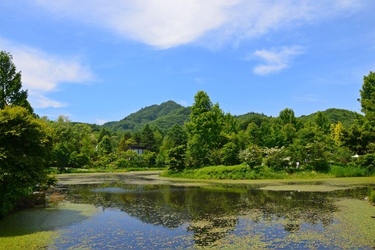 Karuizawa Lake Garden