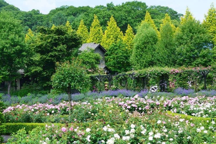 Karuizawa Lake Garden 3