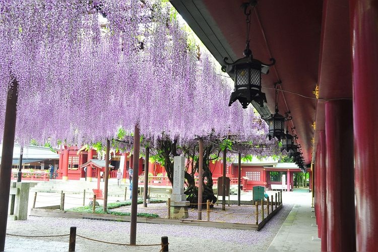 Kasama Inari Shrine 4