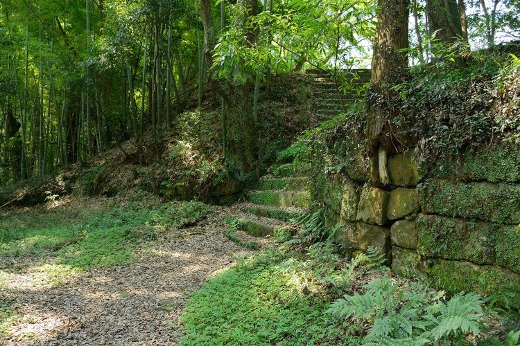 Ruinas del Castillo de Kasama 3