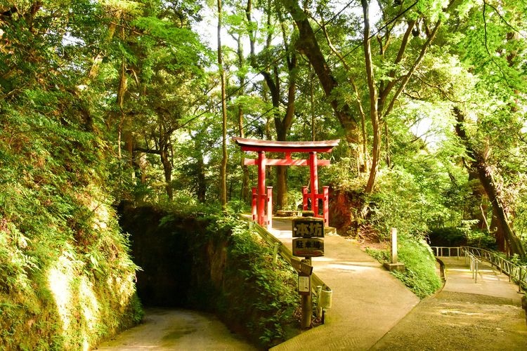 笠森寺 3