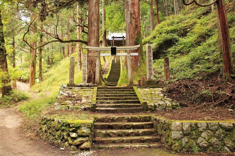 加苏山神社