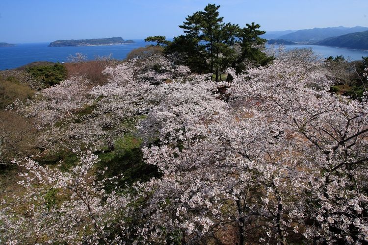 Mt. Kasayama
