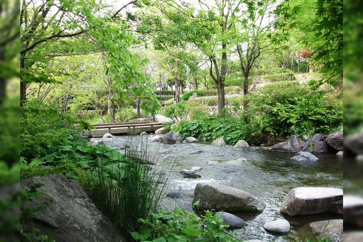 สวนสาธารณะสิ่งแวดล้อมแม่น้ำ (สวนคิโซะซันคาวาแห่งชาติ)