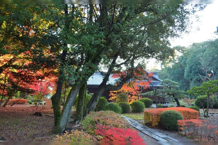 Kashihara Jingu 2