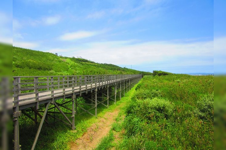 鹿島灘海浜公園 (Kashimanada Seaside Park) 3