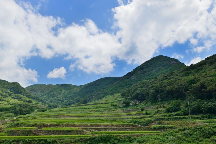 Làng Kasuga