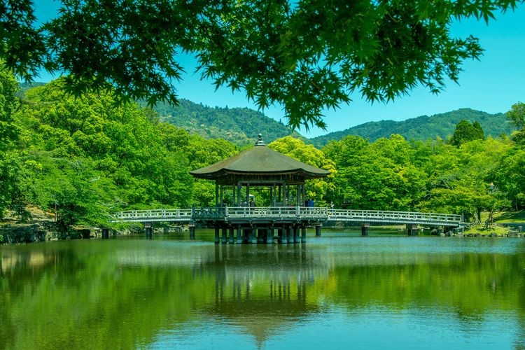 春日大社 10