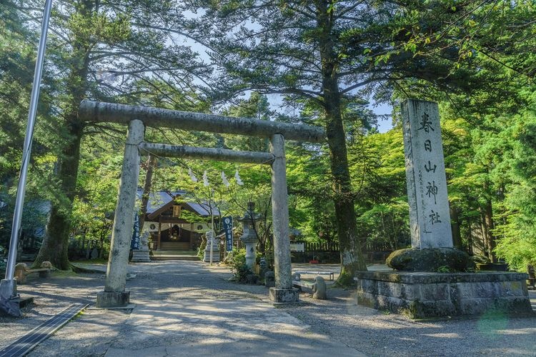 春日山神社 (Kasugayama Jinja) 3