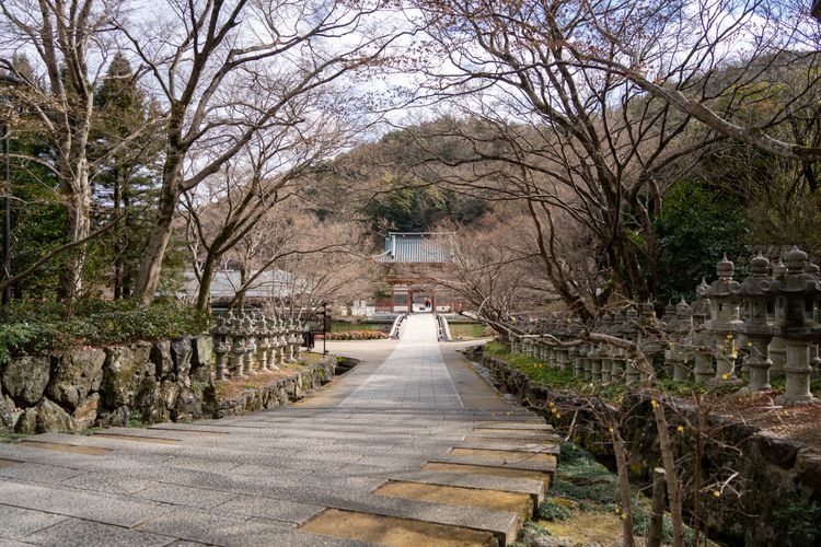 勝尾寺 (Katsuo-ji Temple)