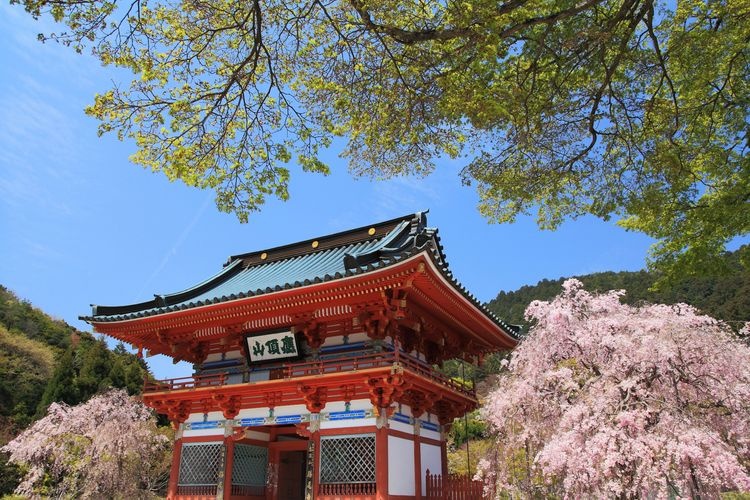 勝尾寺 (Katsuo-ji Temple) 3