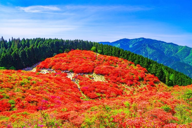 Mount Katsuragi (Yamato Katsuragi-san)