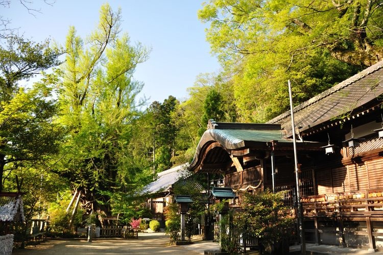 葛城一言主神社 (Katsuragi Hitokotonushi Jinja)