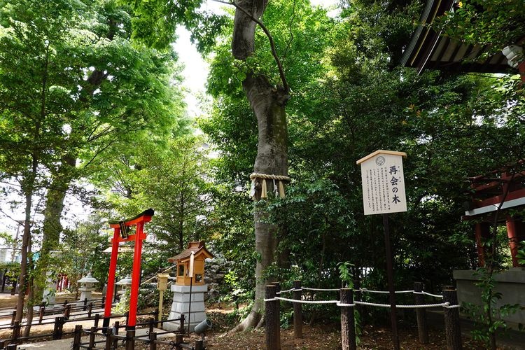 Kawagoe Hachimangu