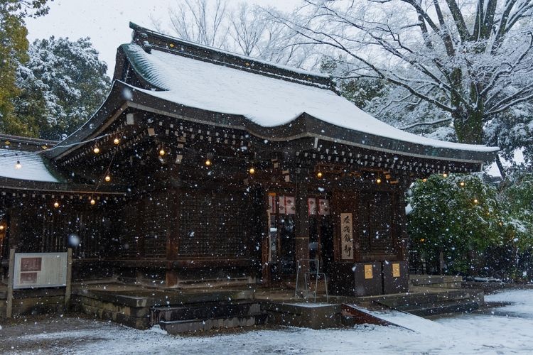 Kawagoe Hikawa Jinja 2