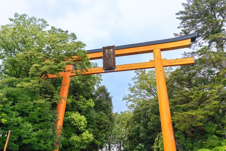 Kawagoe Hikawa Jinja 3