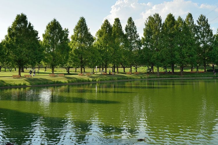 Kawagoe Suijo Park 2