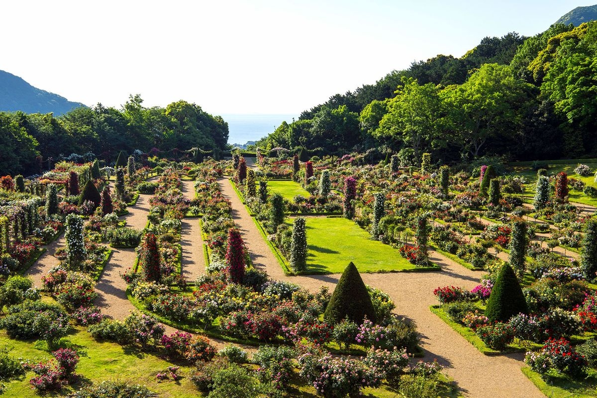 河津巴提加尔公园 (Kawazu Bagatelle Park)