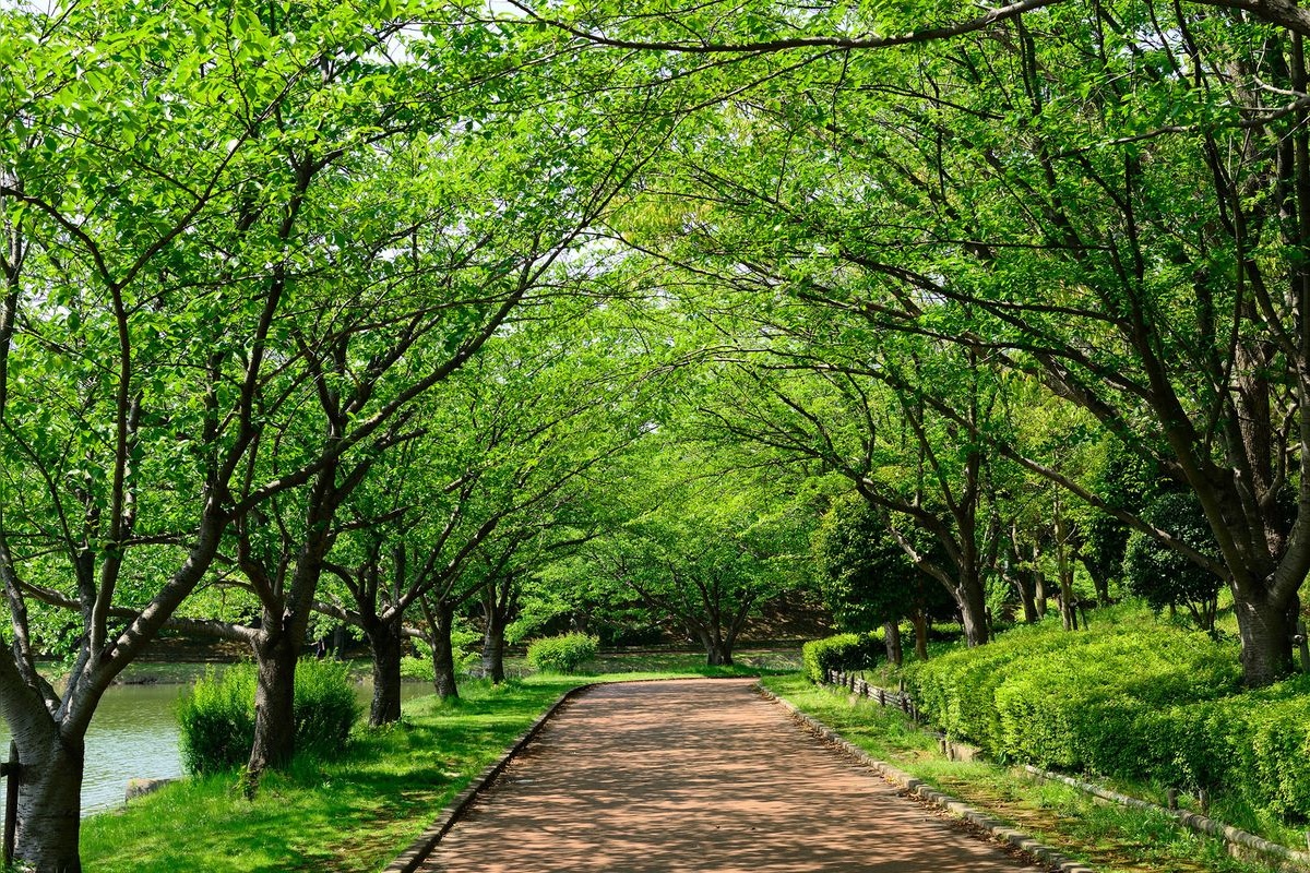 Parque Kayoiyo-cho