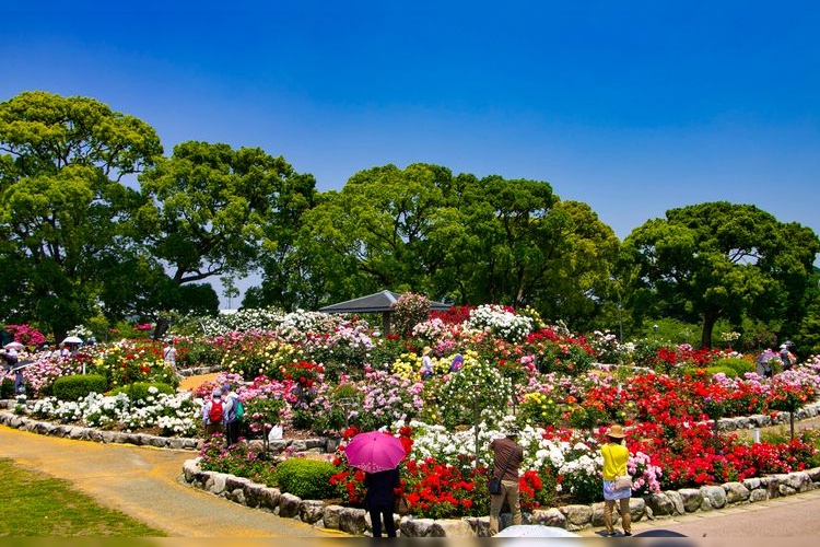 가요초 공원 (Kayochō Park) 2