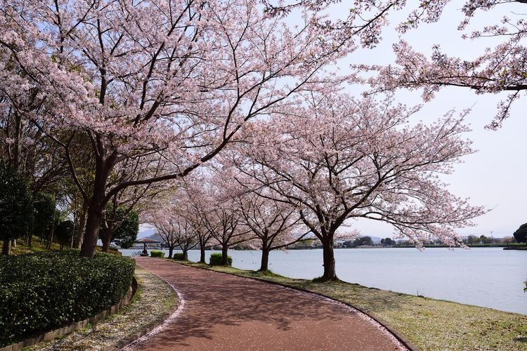 가요초 공원 (Kayochō Park) 3
