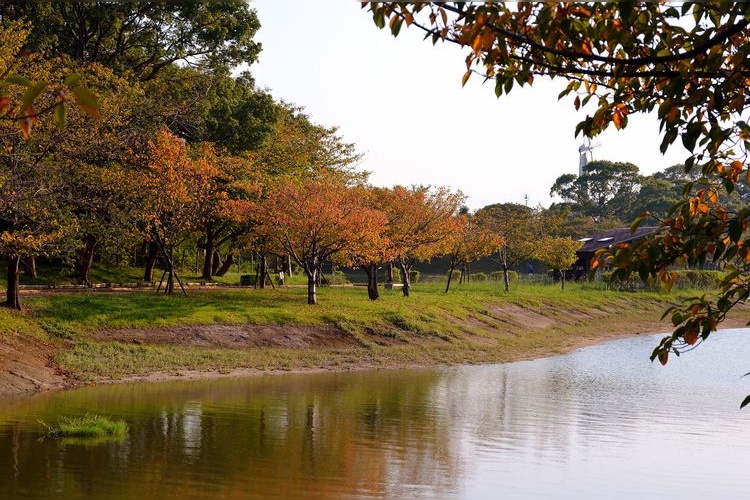 가요초 공원 (Kayochō Park) 4