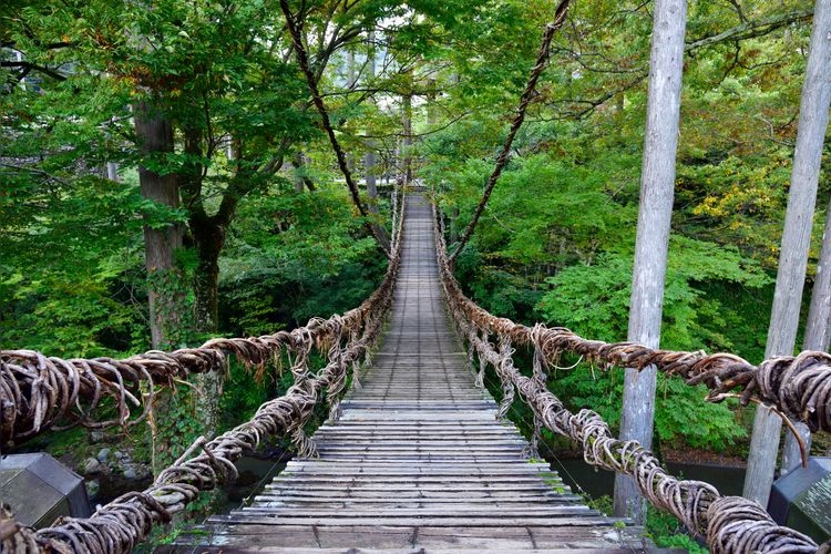 Iya no Kazurabashi Bridge 2