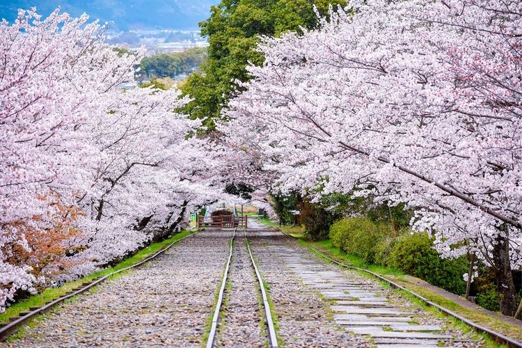 Keage Incline 2
