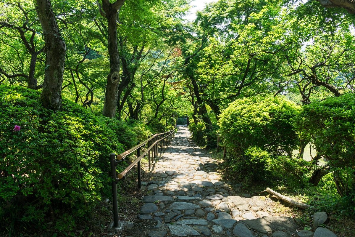 Keio Mogusaen Garden